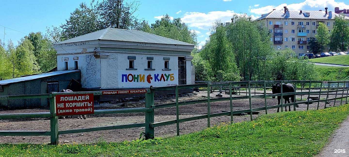 Отзывы на компанию Пони-клуб в г. Петрозаводск c фото