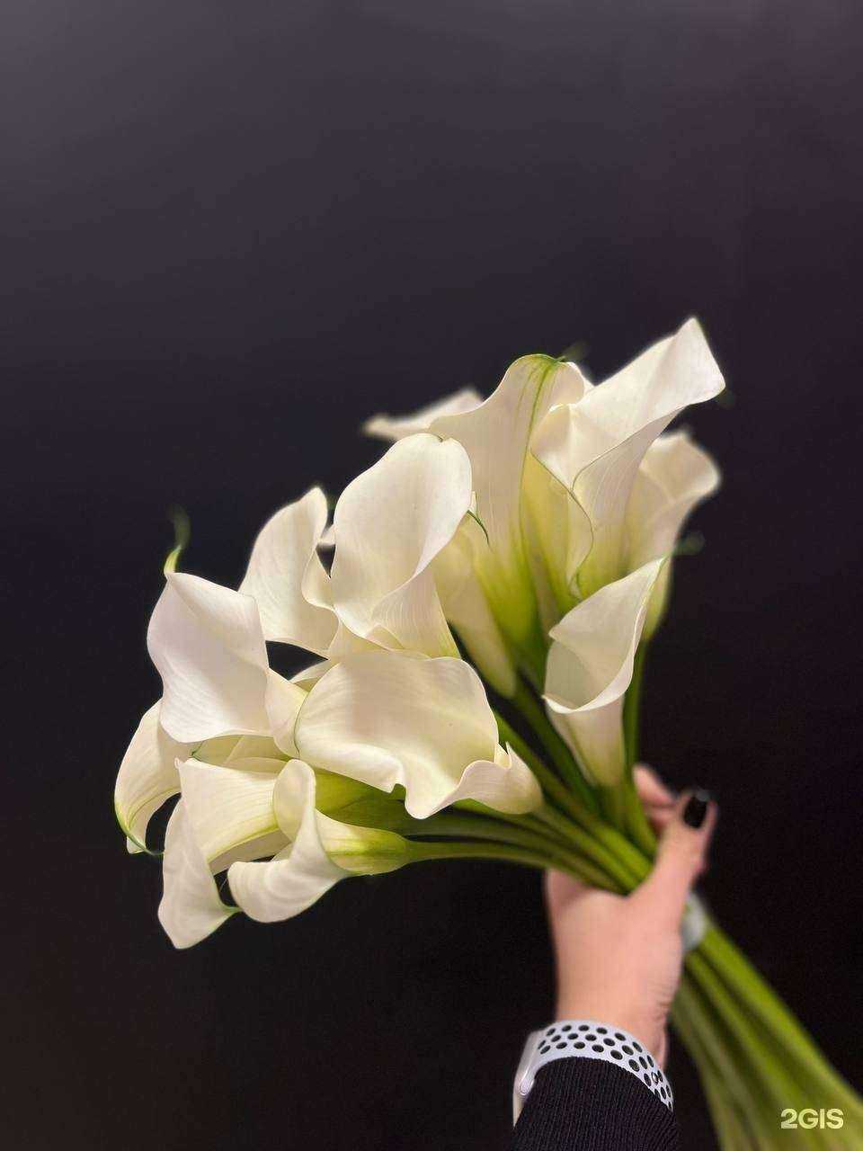 Отзывы на компанию Цветочная база в Архангельске c фото