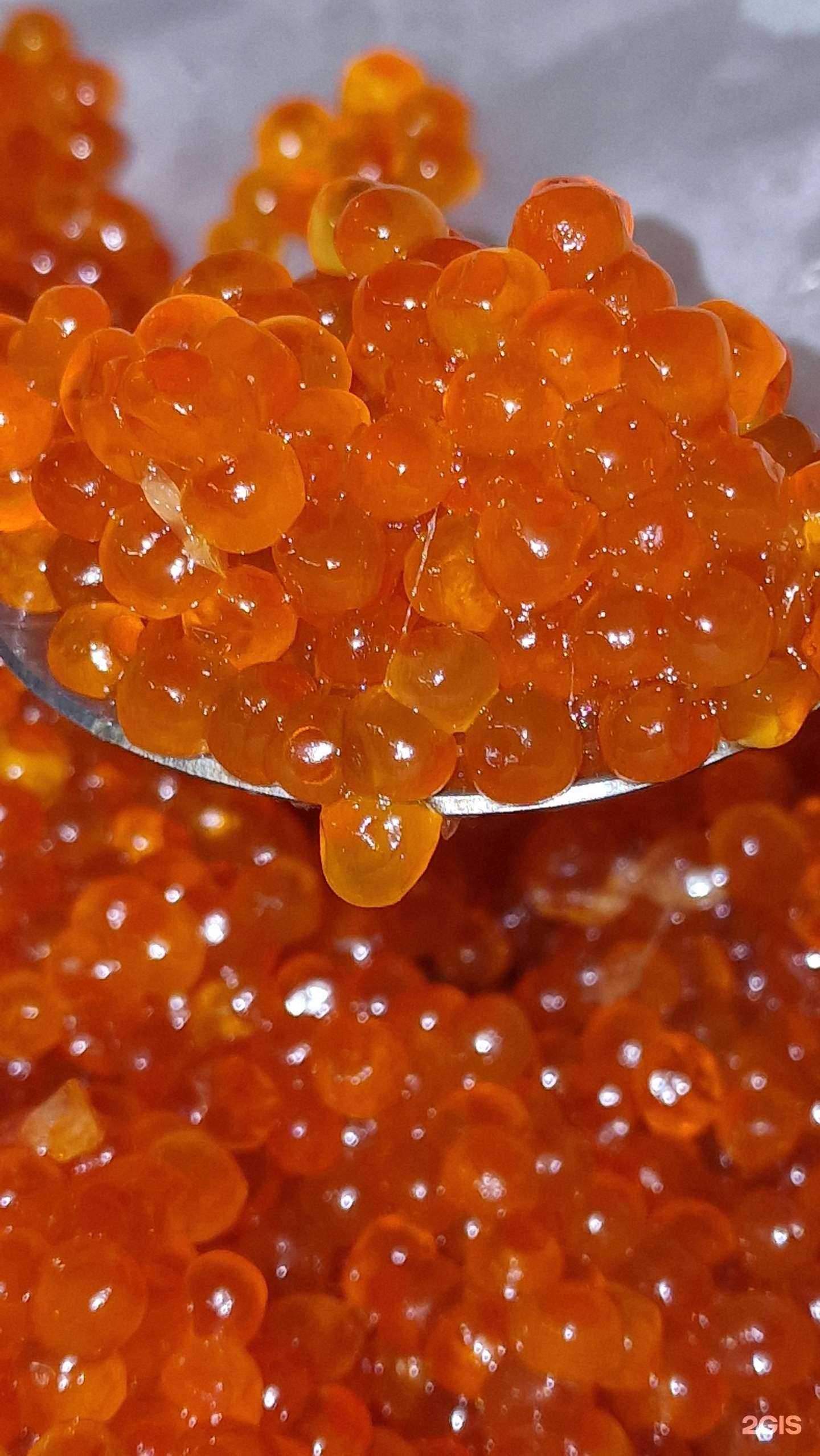 Отзывы на компанию Мини океан в г. Липецк c фото