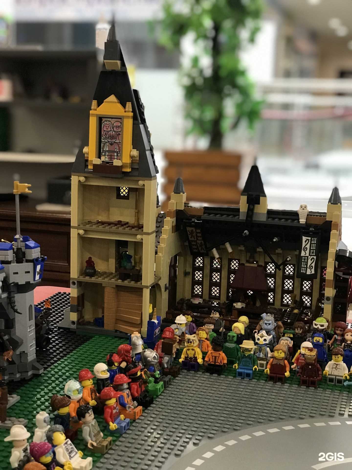 Отзывы на компанию ЛеГости в г. Хабаровск c фото