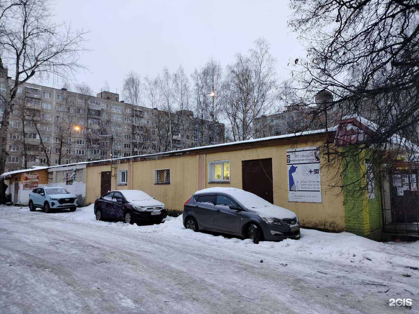 Отзывы на компанию 10 жизней в Жуковском c фото - фотография 2 из 2