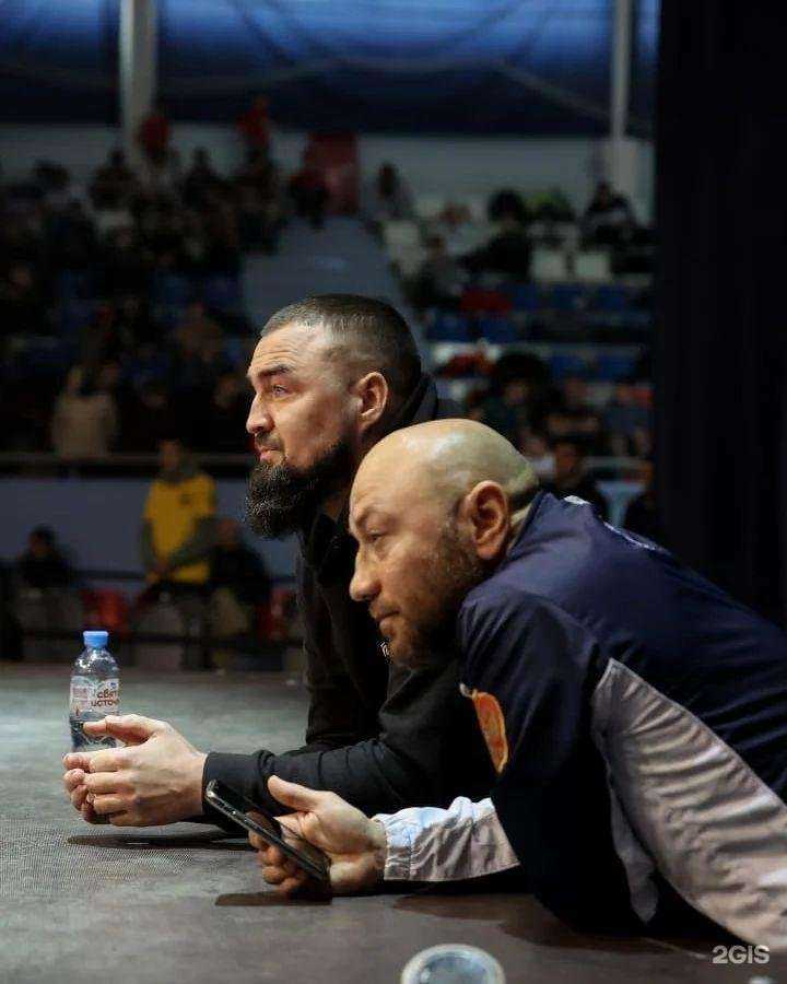 Отзывы на компанию Ирбис в г. Альметьевск c фото