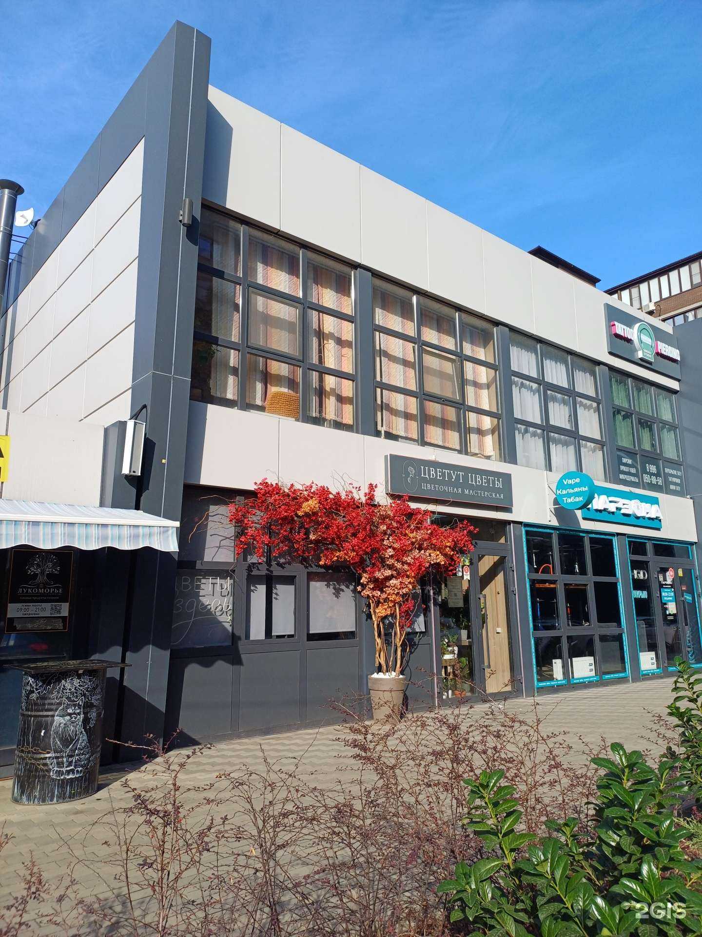 Отзывы на компанию De Mari в Краснодаре c фото - фотография 2 из 2