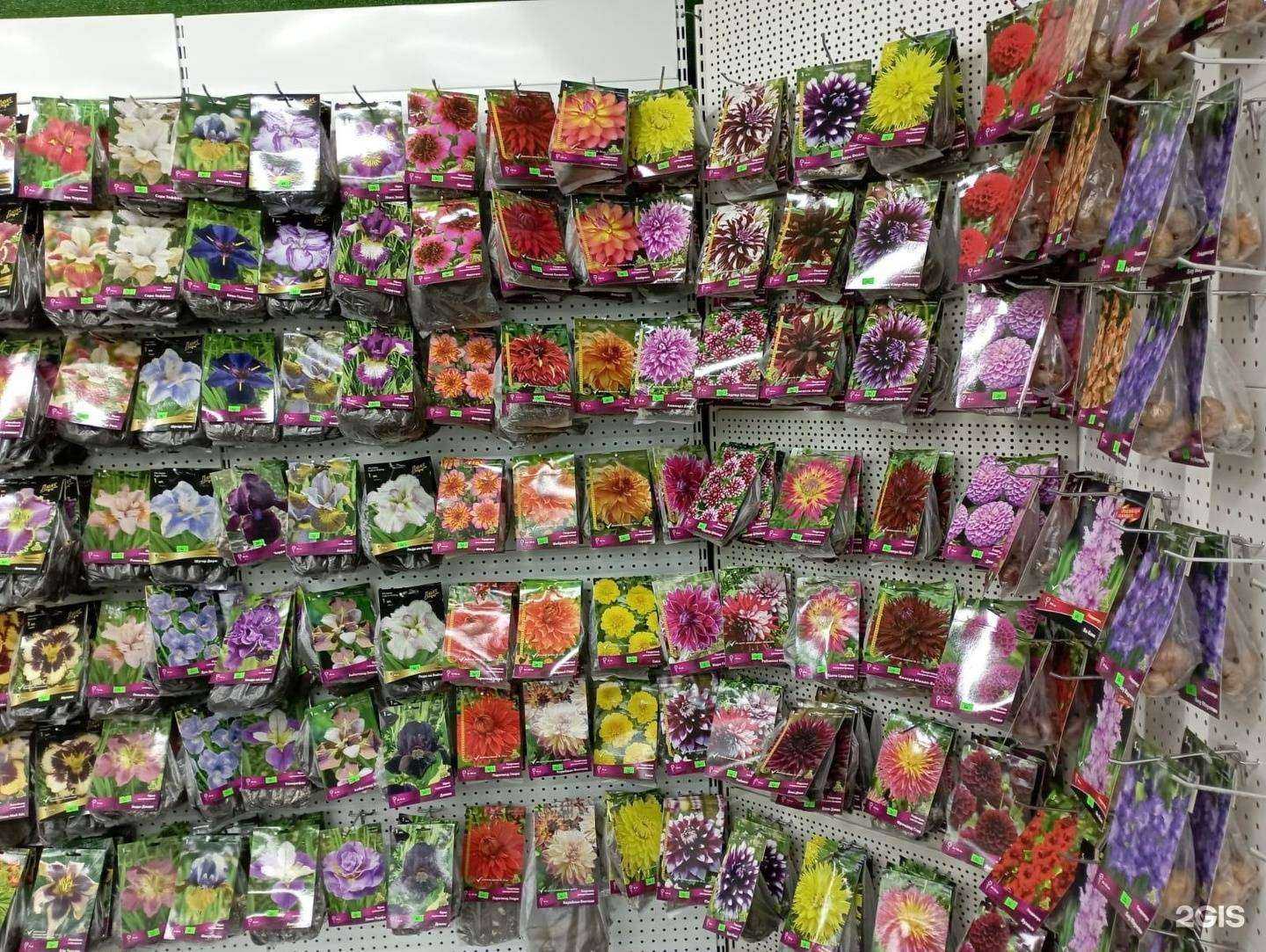 Отзывы на компанию Северин в Туле c фото