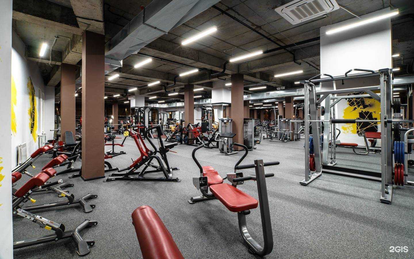 Отзывы на компанию Палестра в Архангельске c фото