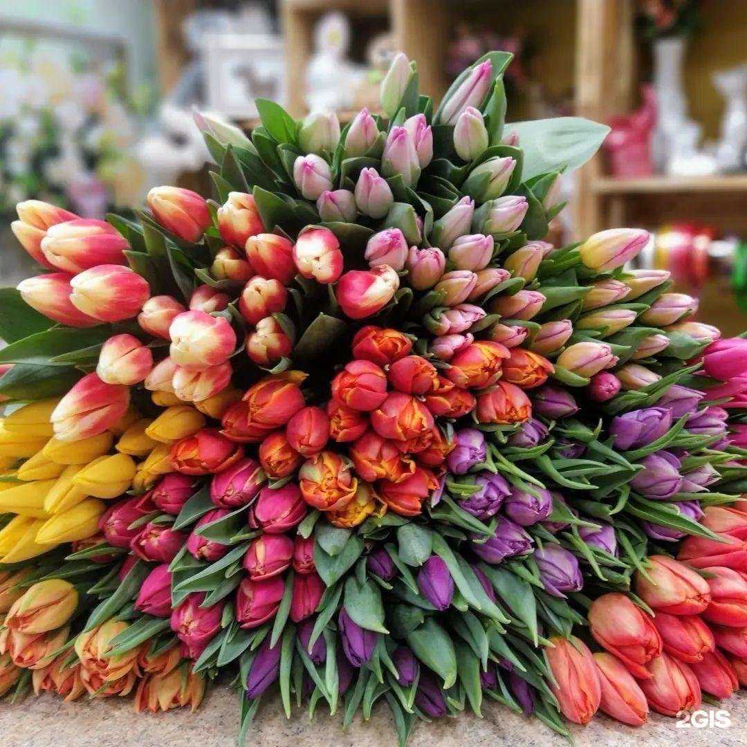 Отзывы на компанию Жасмин в Великом Новгороде c фото