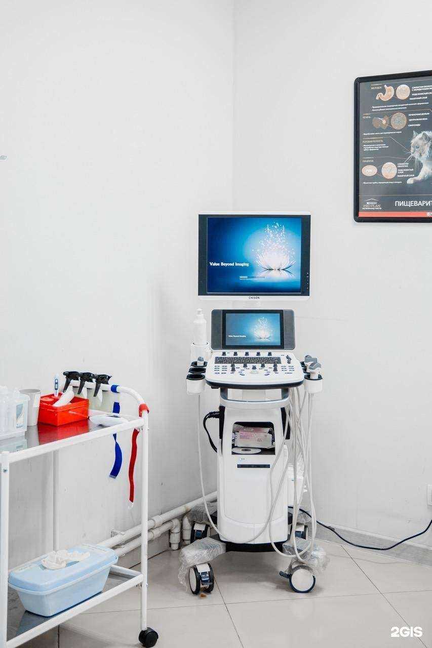 Отзывы на компанию Юнивет в г. Хабаровск c фото