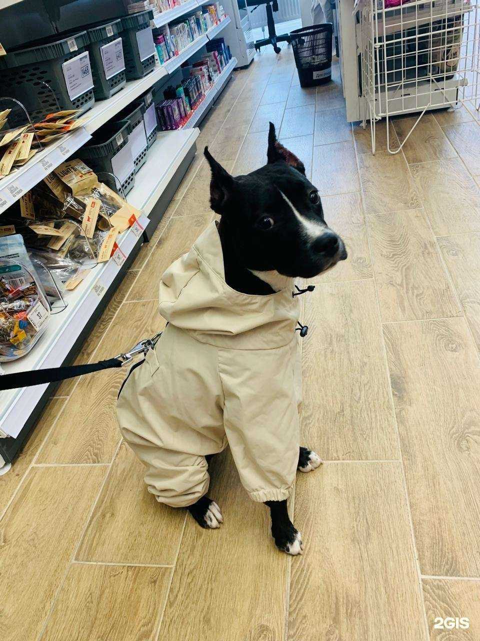 Отзывы на компанию Зоозавр в Краснодаре c фото