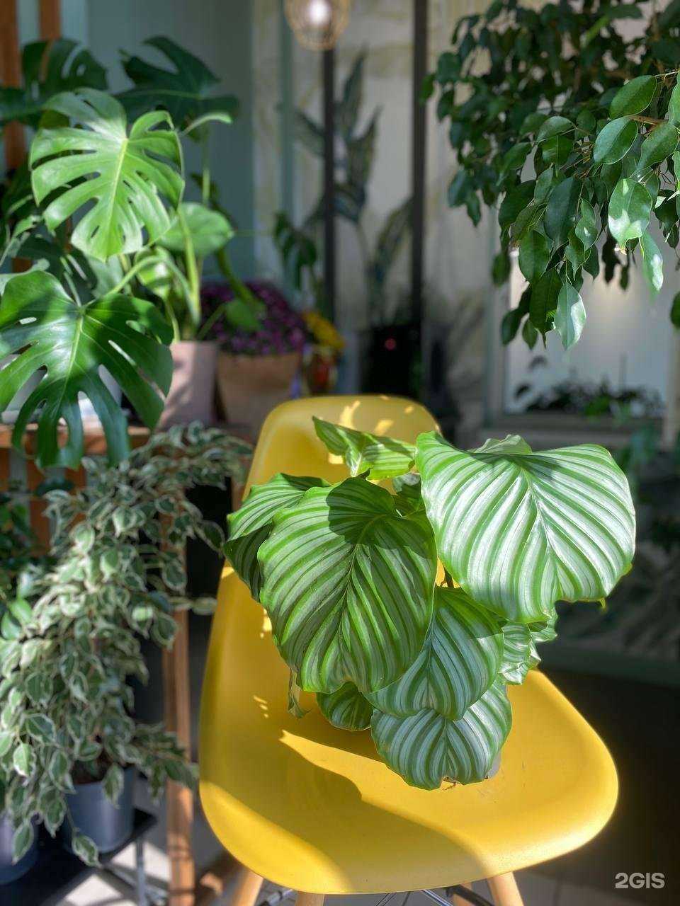 Отзывы на компанию Глазурь в г. Альметьевск c фото