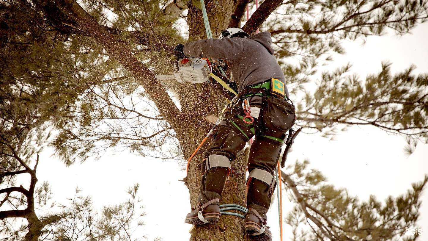 Отзывы на компанию Перфекционист в Новосибирске c фото