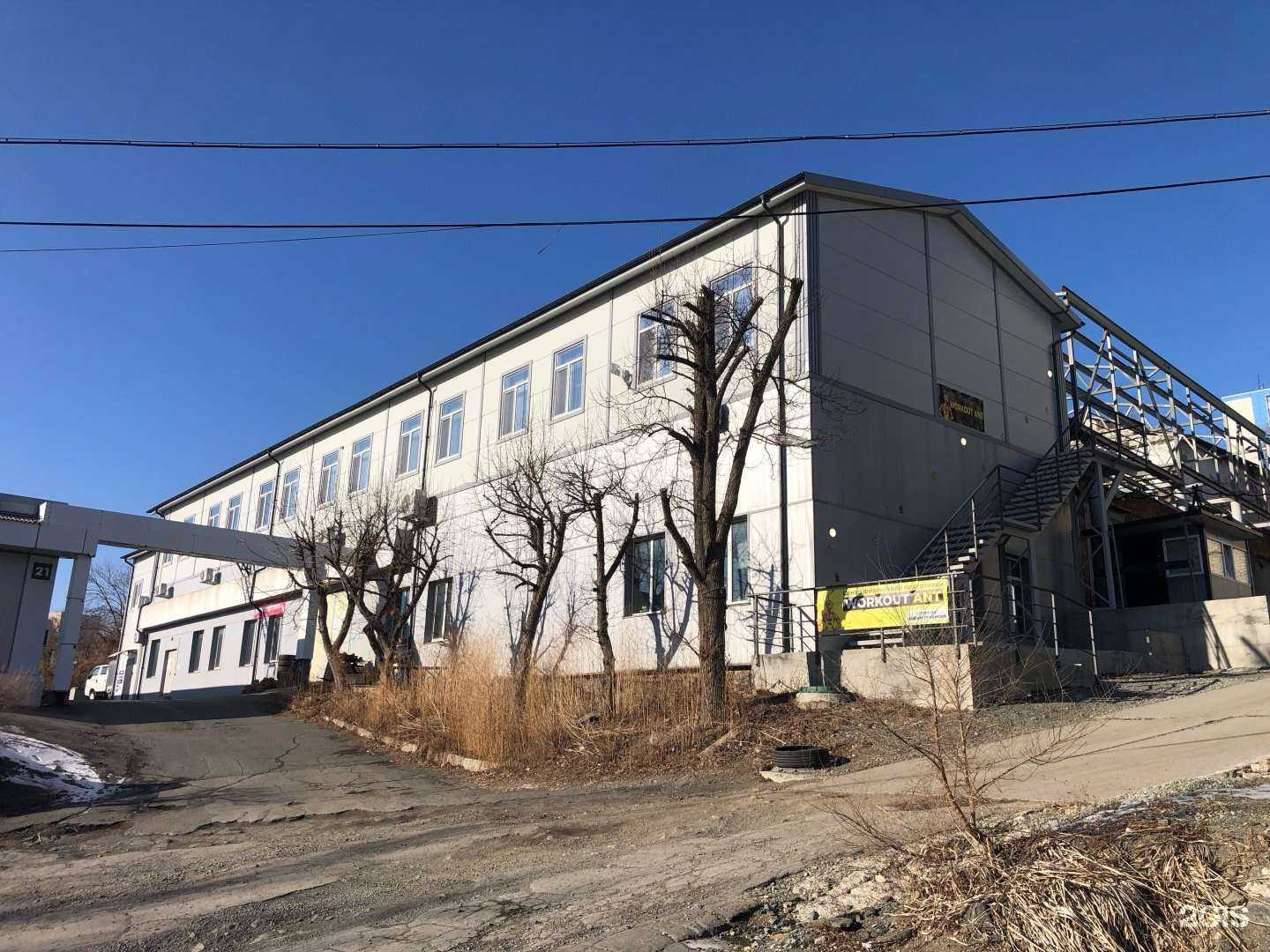 Отзывы на компанию Workout Ant в Владивостоке c фото - фотография 2 из 2