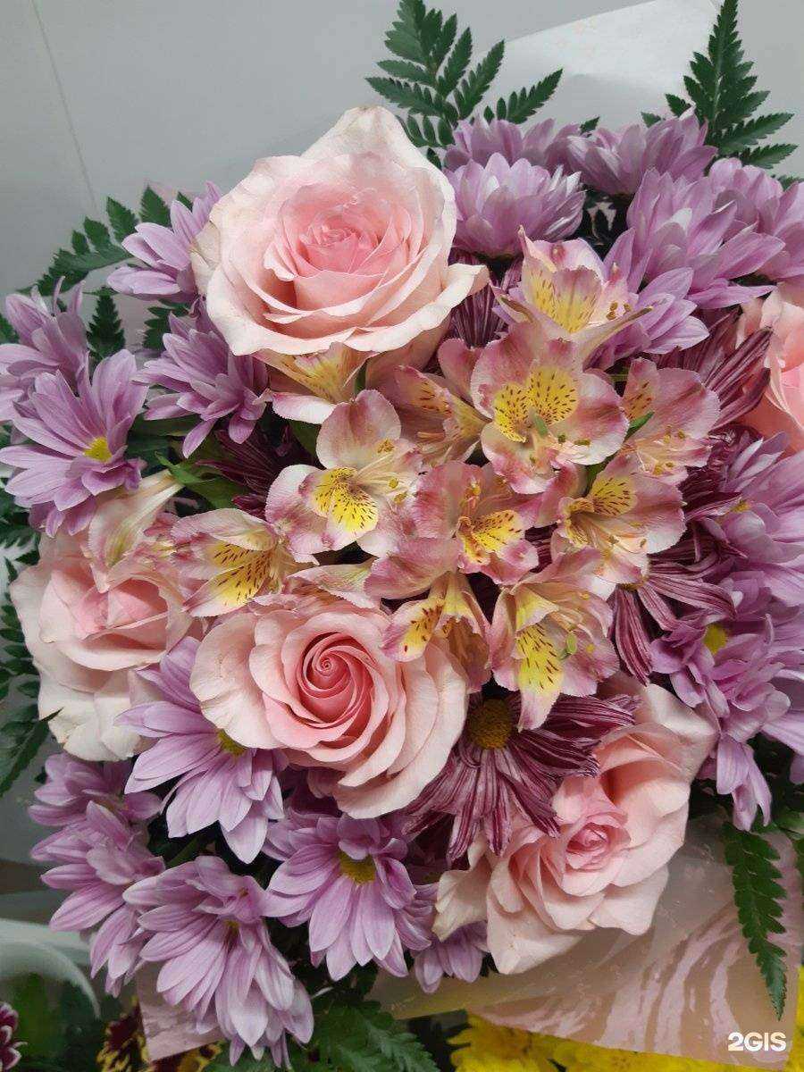 Отзывы на компанию Флора+ в Красноярске c фото