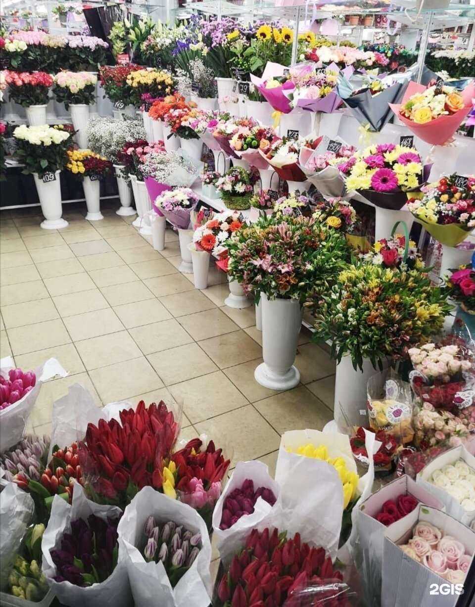 Отзывы на компанию Цветторг48 в г. Липецк c фото