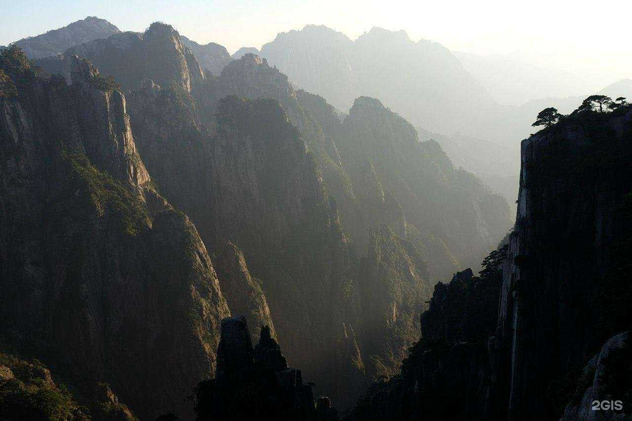 Отзывы на компанию У Дэ в Тольятти c фото