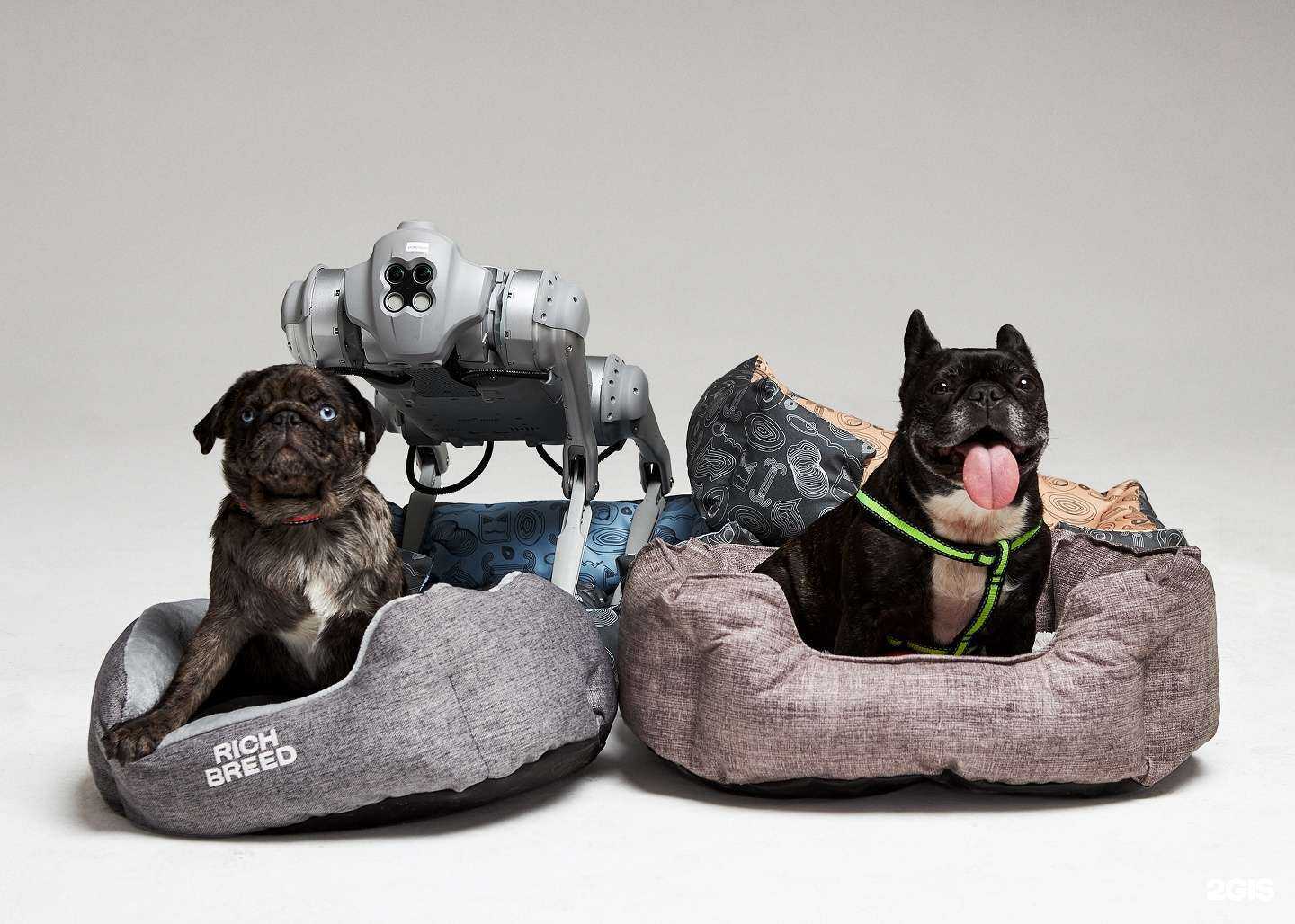 Отзывы на компанию Rich Breed в Иванове c фото