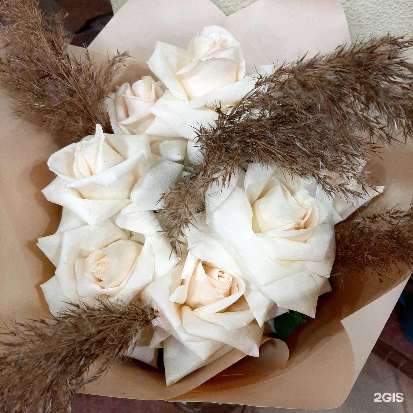 Отзывы на компанию Натали в г. Екатеринбург c фото