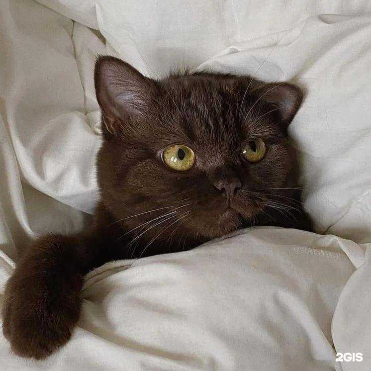 Отзывы на компанию Капля в Волгограде c фото