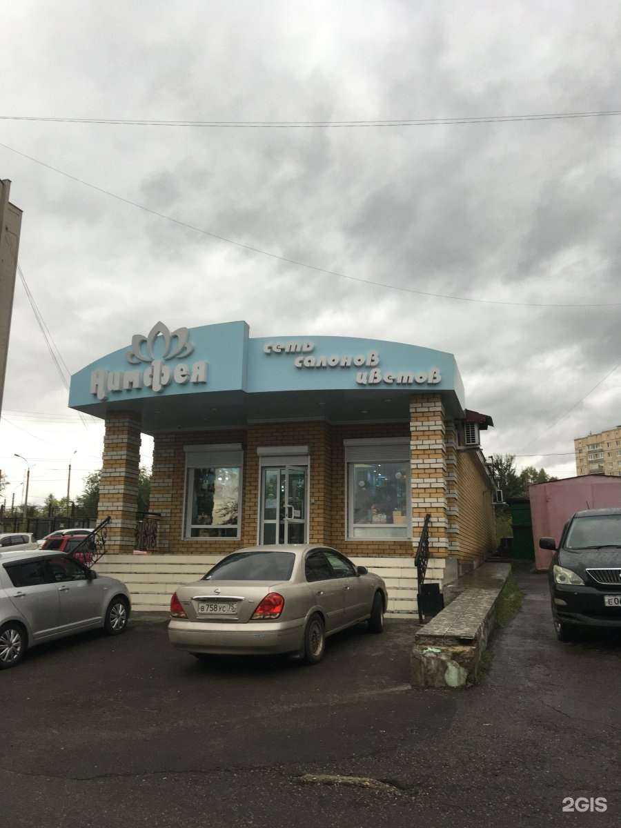 Отзывы на компанию Нимфея в Чите c фото - фотография 2 из 2