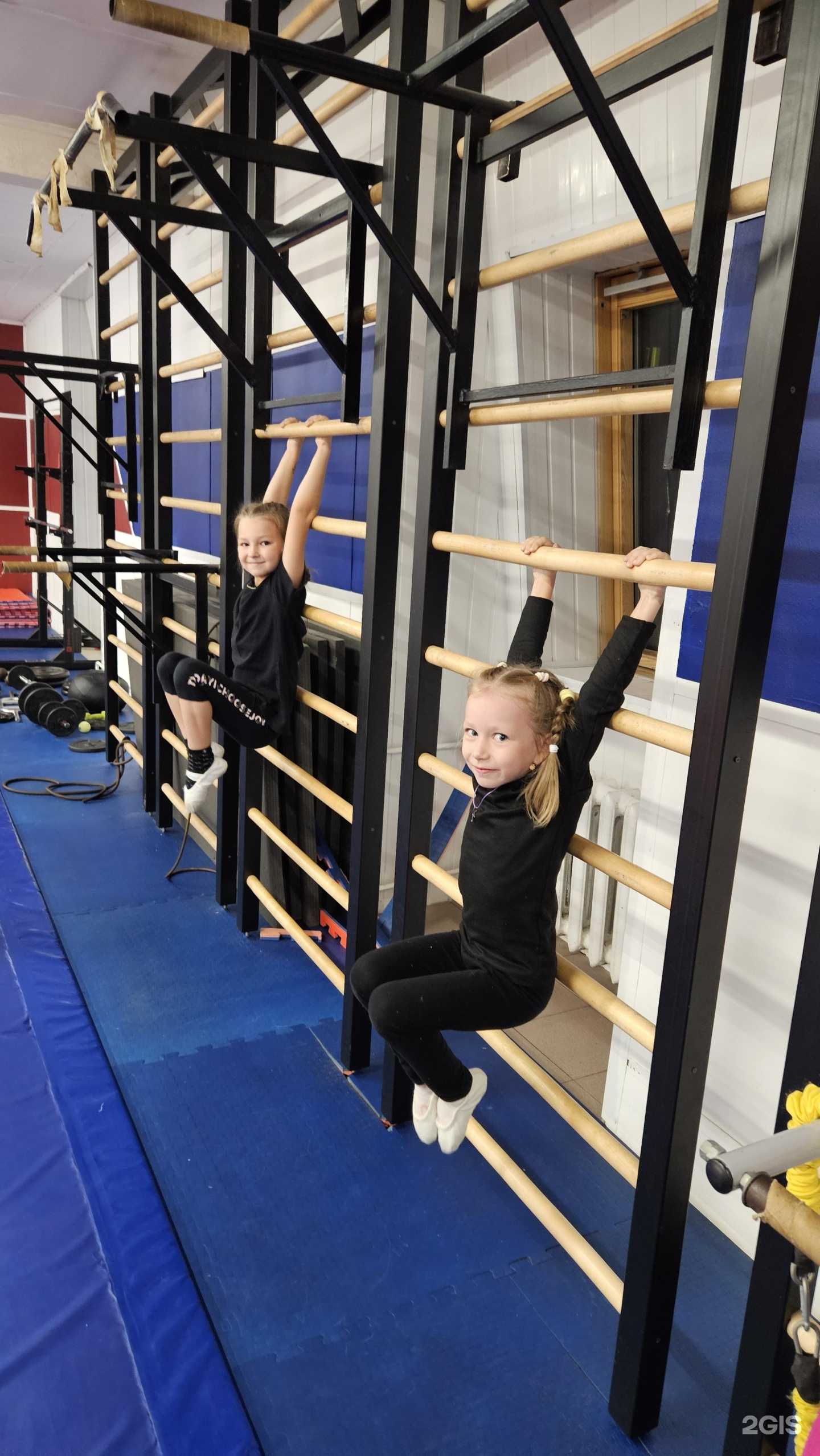 Отзывы на компанию Элемент в Пензе c фото