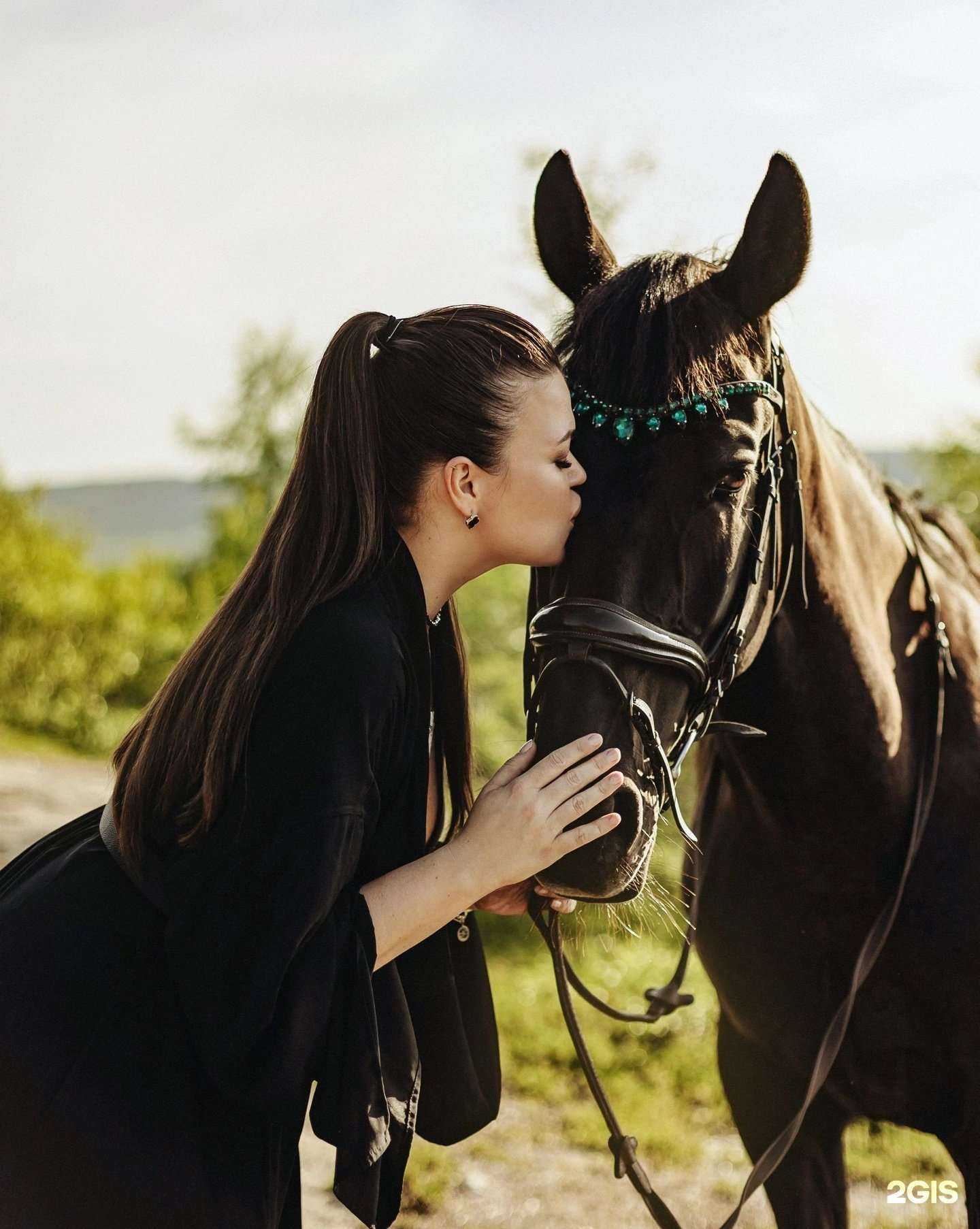 Отзывы на компанию  Forest в Мурманске c фото