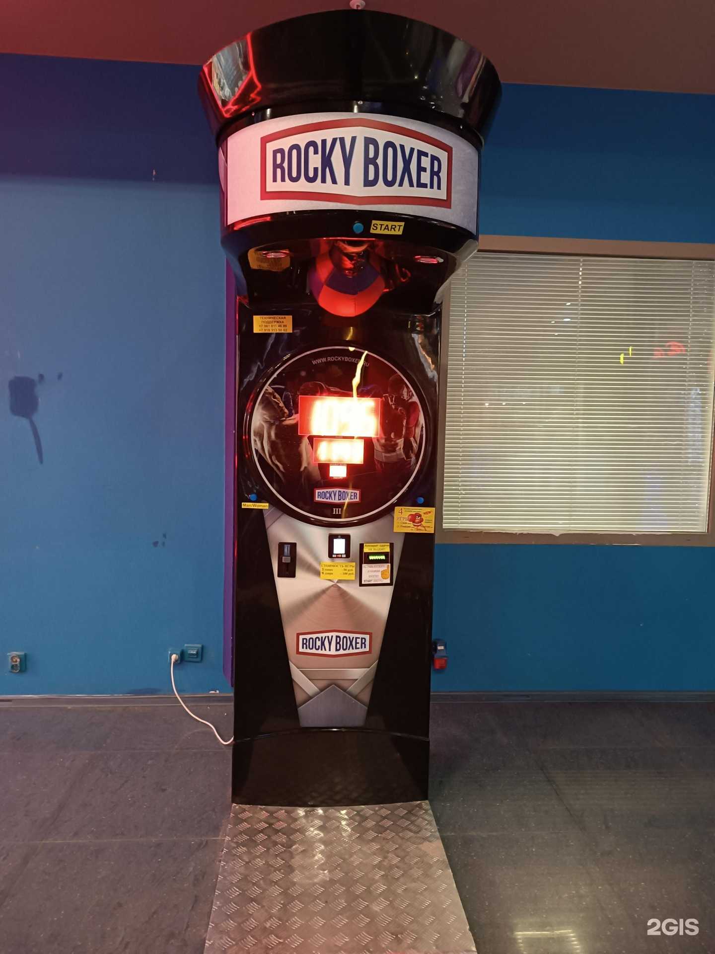 Отзывы на компанию Rocky boxer в Нижнем Новгороде c фото