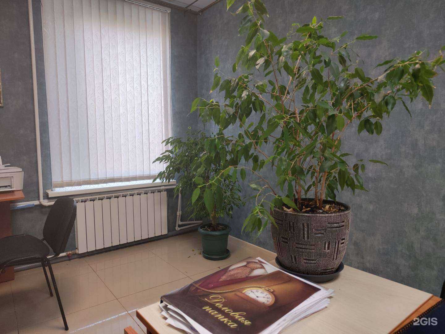 Отзывы на компанию Адвокат Малевич Р.М. в г. Стрежевой c фото