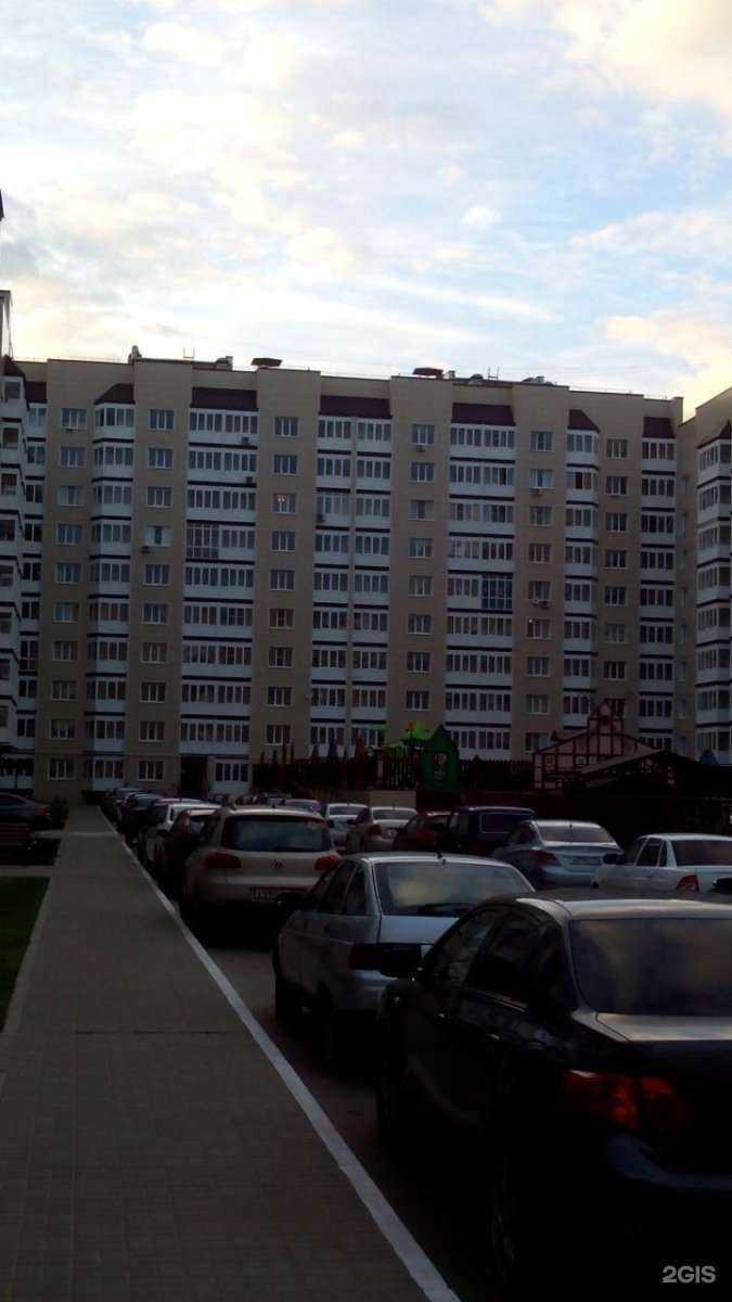 Отзывы на компанию Фотограф Оксана Денисова в Тамбове c фото - фотография 2 из 2