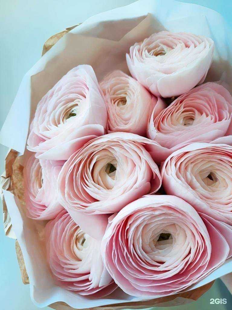 Отзывы на компанию FlowerSoul в Новосибирске c фото