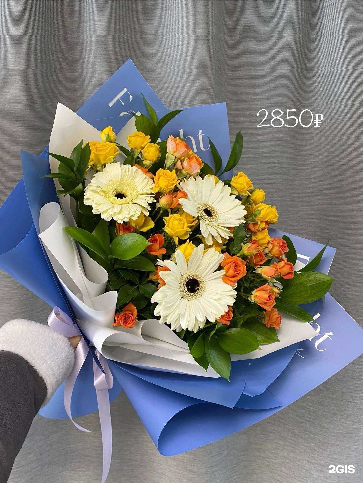 Отзывы на компанию Клевер в Полевское c фото