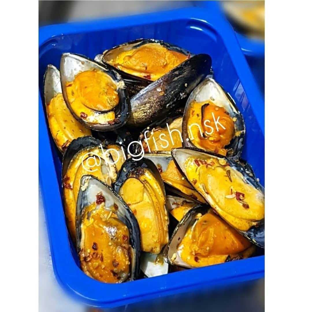 Отзывы на компанию БигФиш в г. Новосибирск c фото