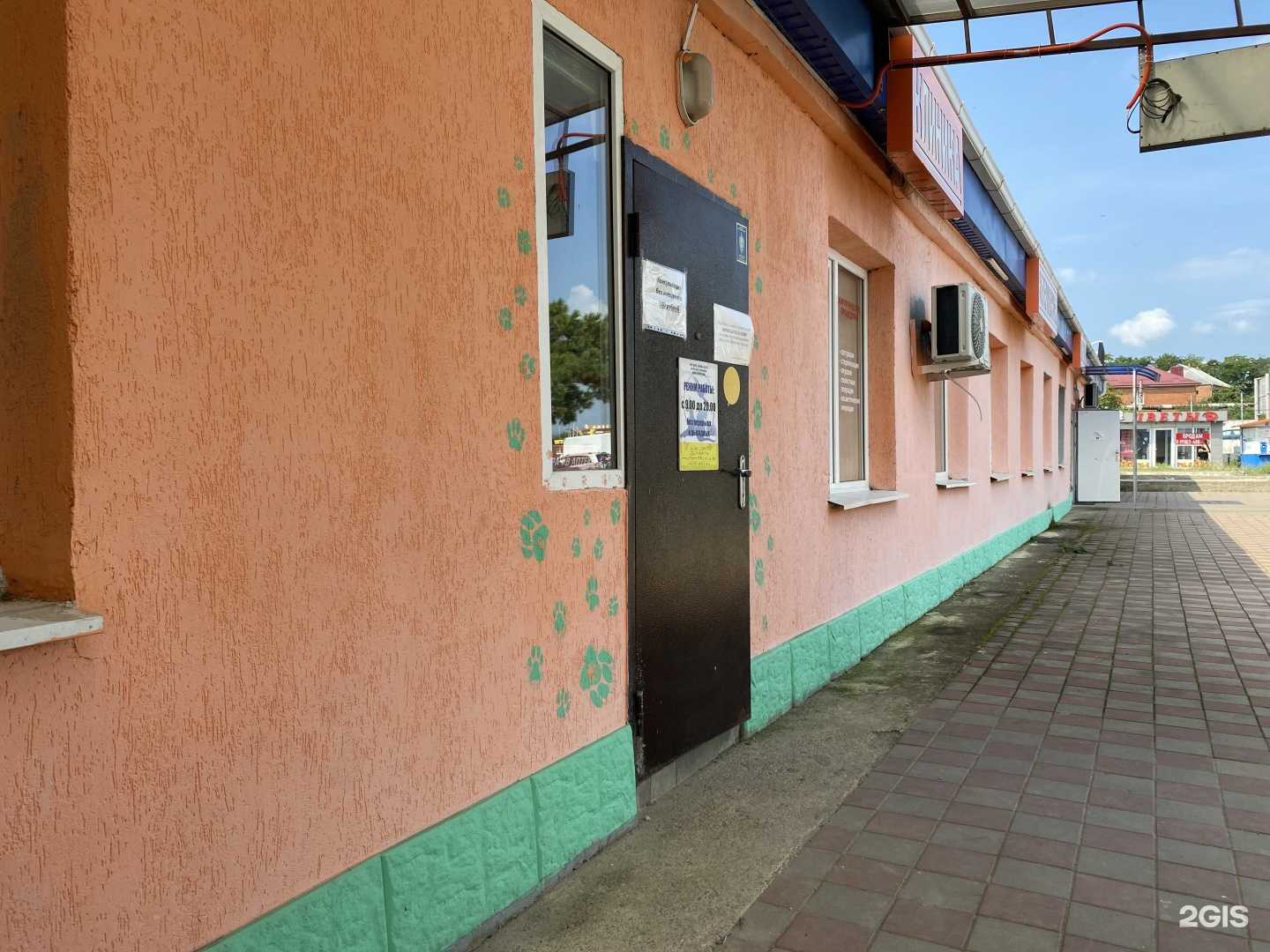 Отзывы на компанию ПульсВет в Новороссийске c фото - фотография 2 из 2