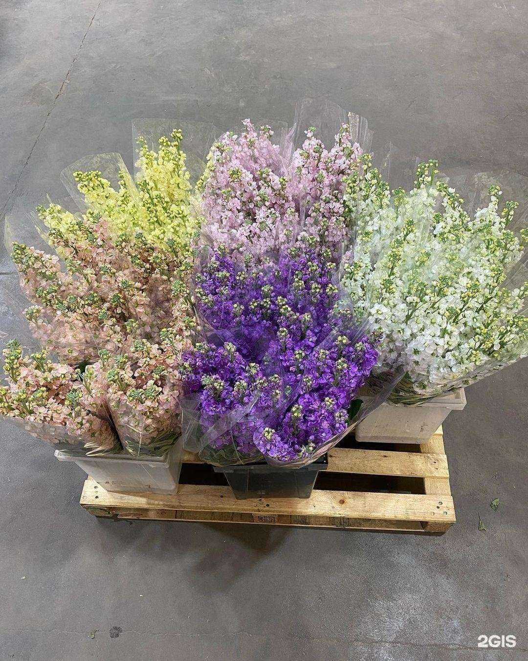 Отзывы на компанию April cash&carry в г. Одинцово c фото