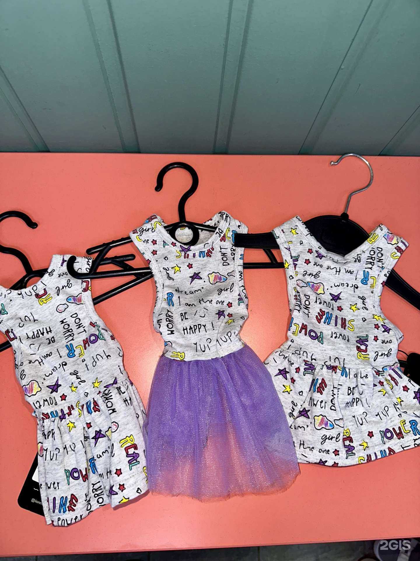 Отзывы на компанию Зоомир в г. Челябинск c фото