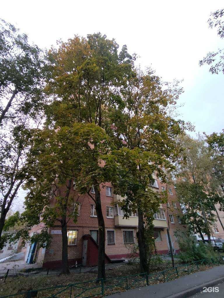 Отзывы на компанию Триза в Долгопрудном c фото