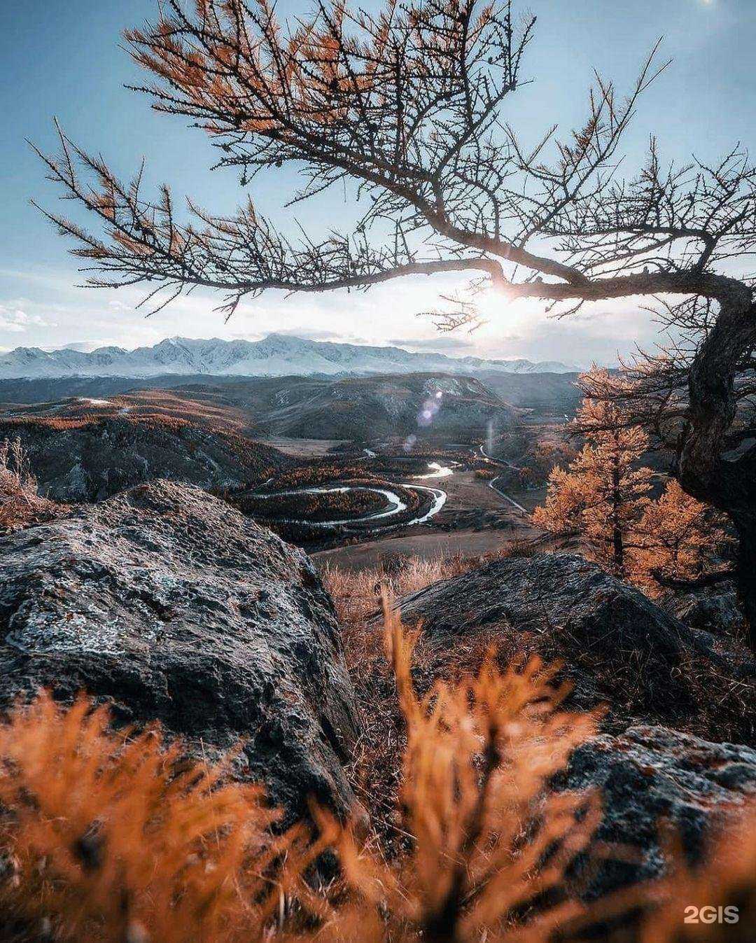 Отзывы на компанию Ренессанс страхование в Орехово-Зуеве c фото