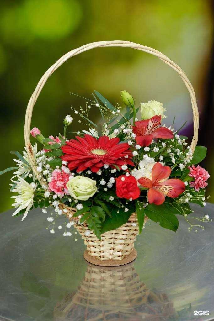 Отзывы на компанию Дом Цветов в Вологде c фото