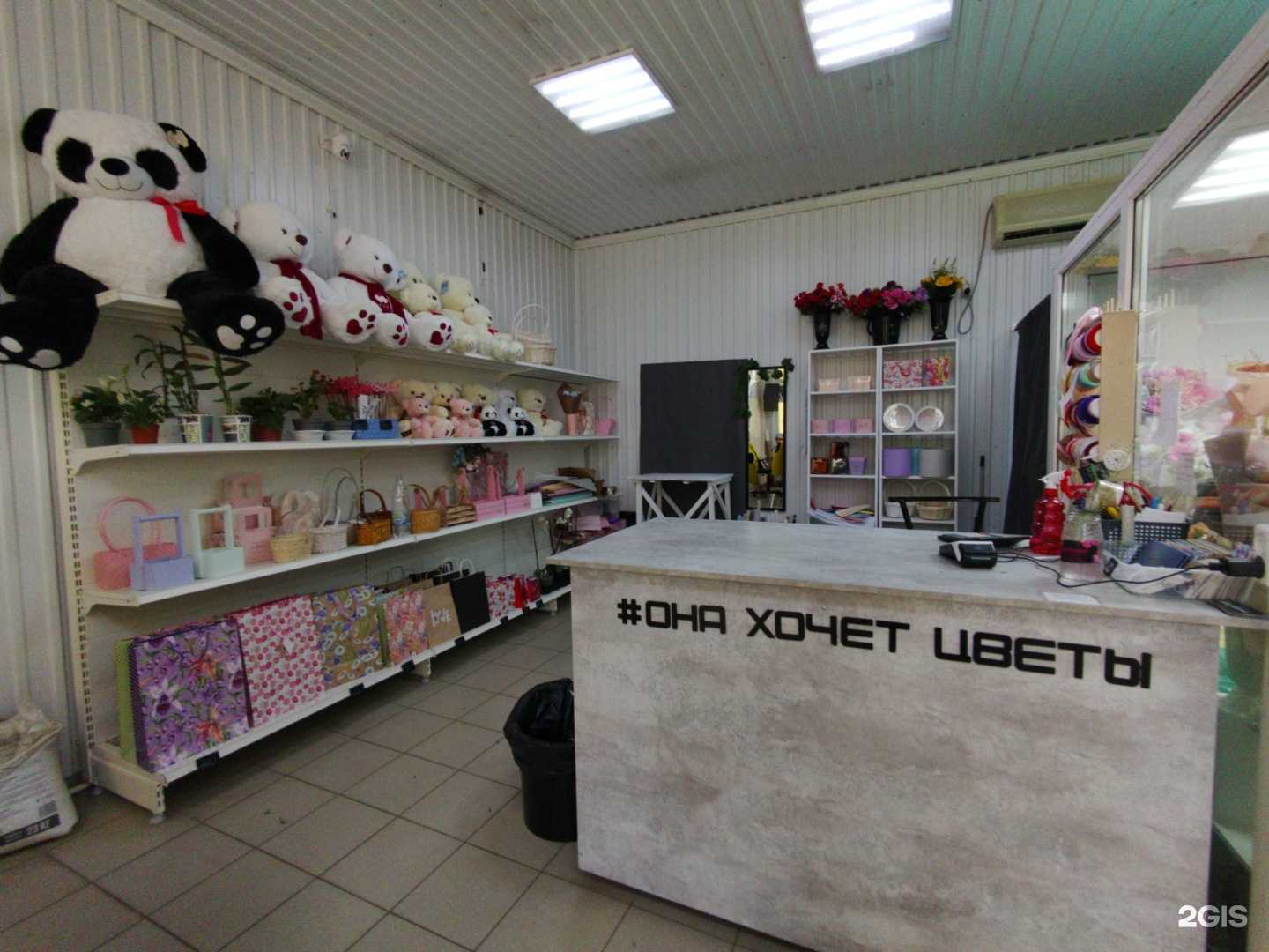 Отзывы на компанию Магазин цветов в Димитровграде c фото