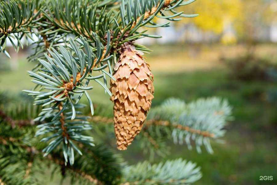 Отзывы на компанию Живая вода в Оренбурге c фото - фотография 2 из 2