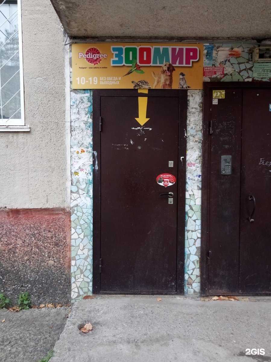 Отзывы на компанию Зоомир в Бердске c фото