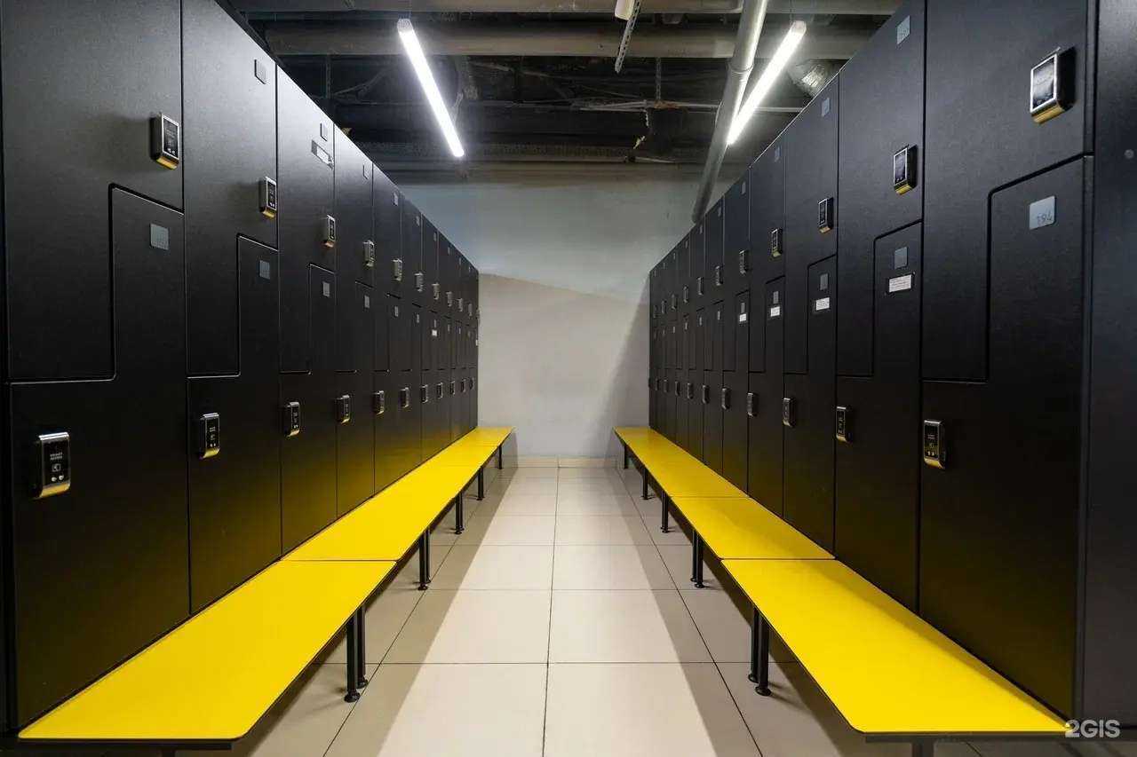 Отзывы на компанию Alex Fitness в г. Воронеж c фото