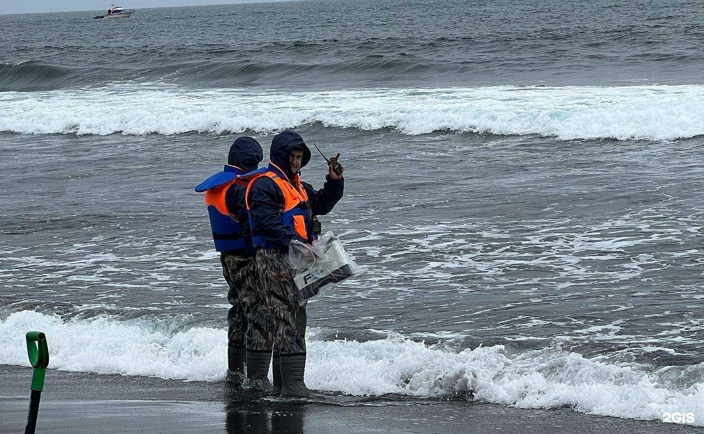 Отзывы на компанию Авто Реал Дв в Владивостоке c фото