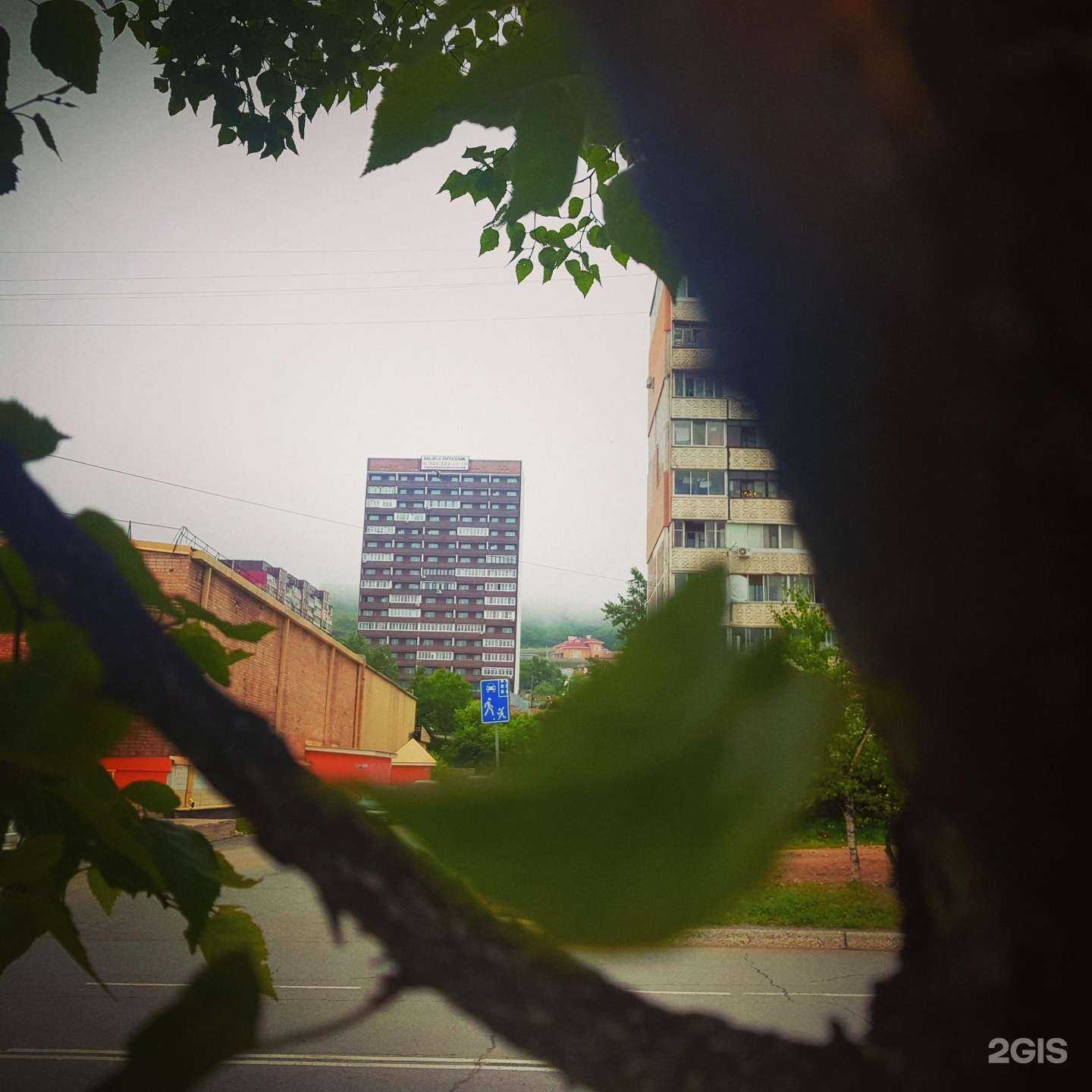 Отзывы на компанию Пчёлка в Находке c фото - фотография 2 из 2