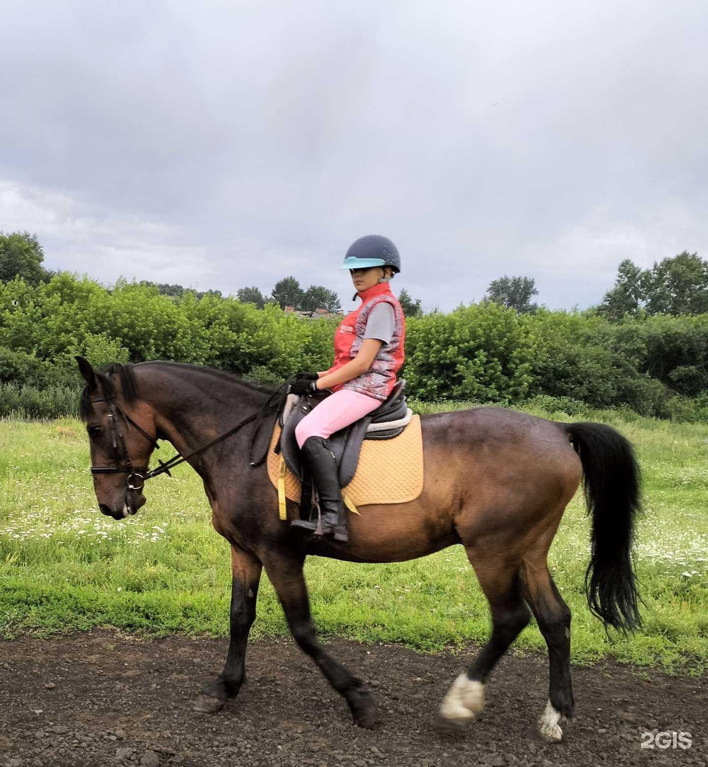 Отзывы на компанию Аргамак в Иркутске c фото