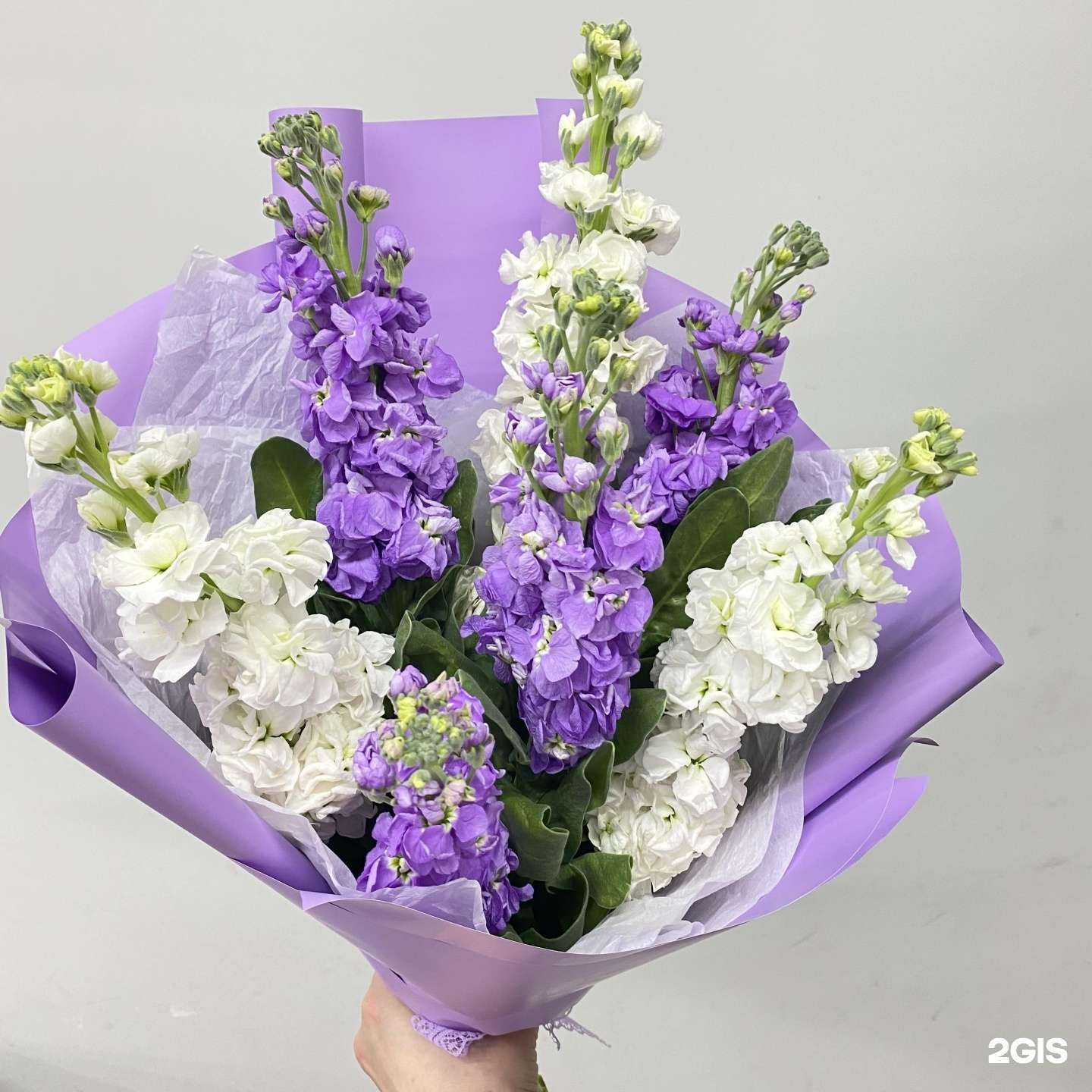 Отзывы на компанию Визави в г. Екатеринбург c фото