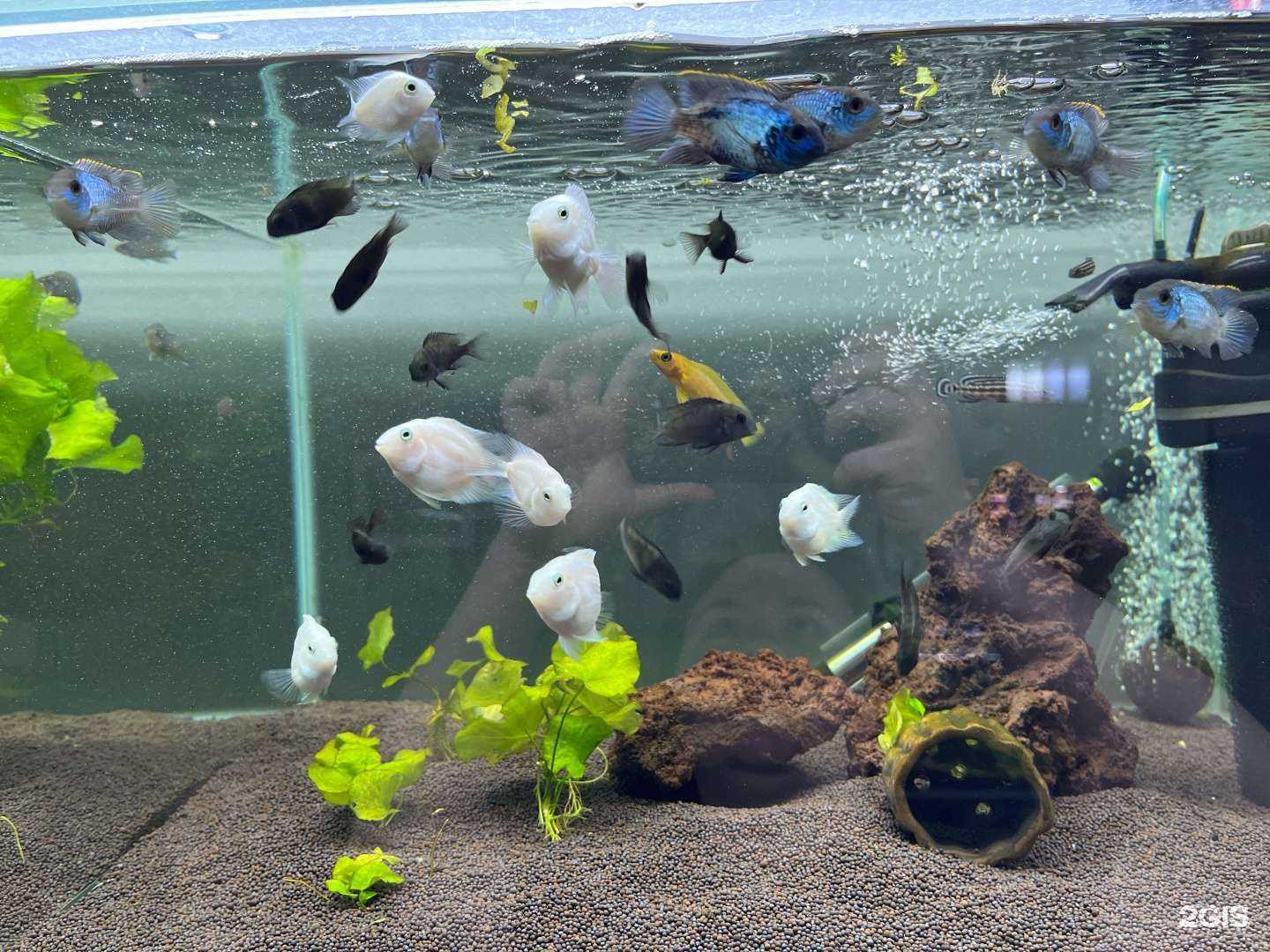 Отзывы на компанию Аmano в г. Самара c фото