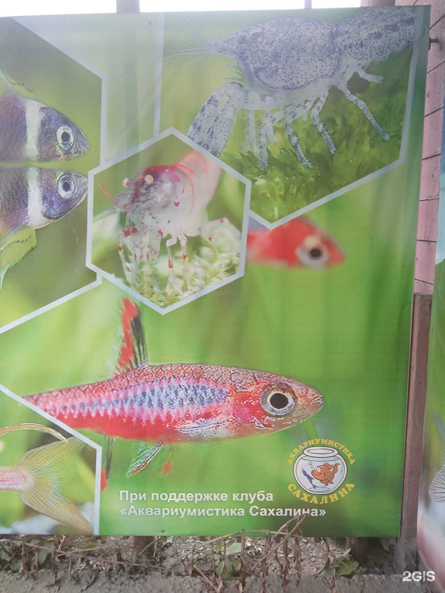 Отзывы на компанию Подводный мир в г. Корсаков c фото