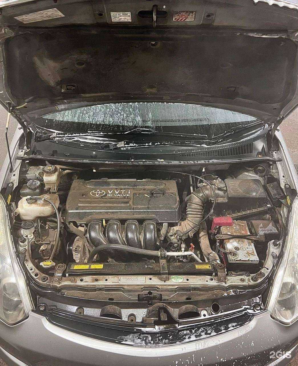 Отзывы на компанию Next в г. Красноярск c фото