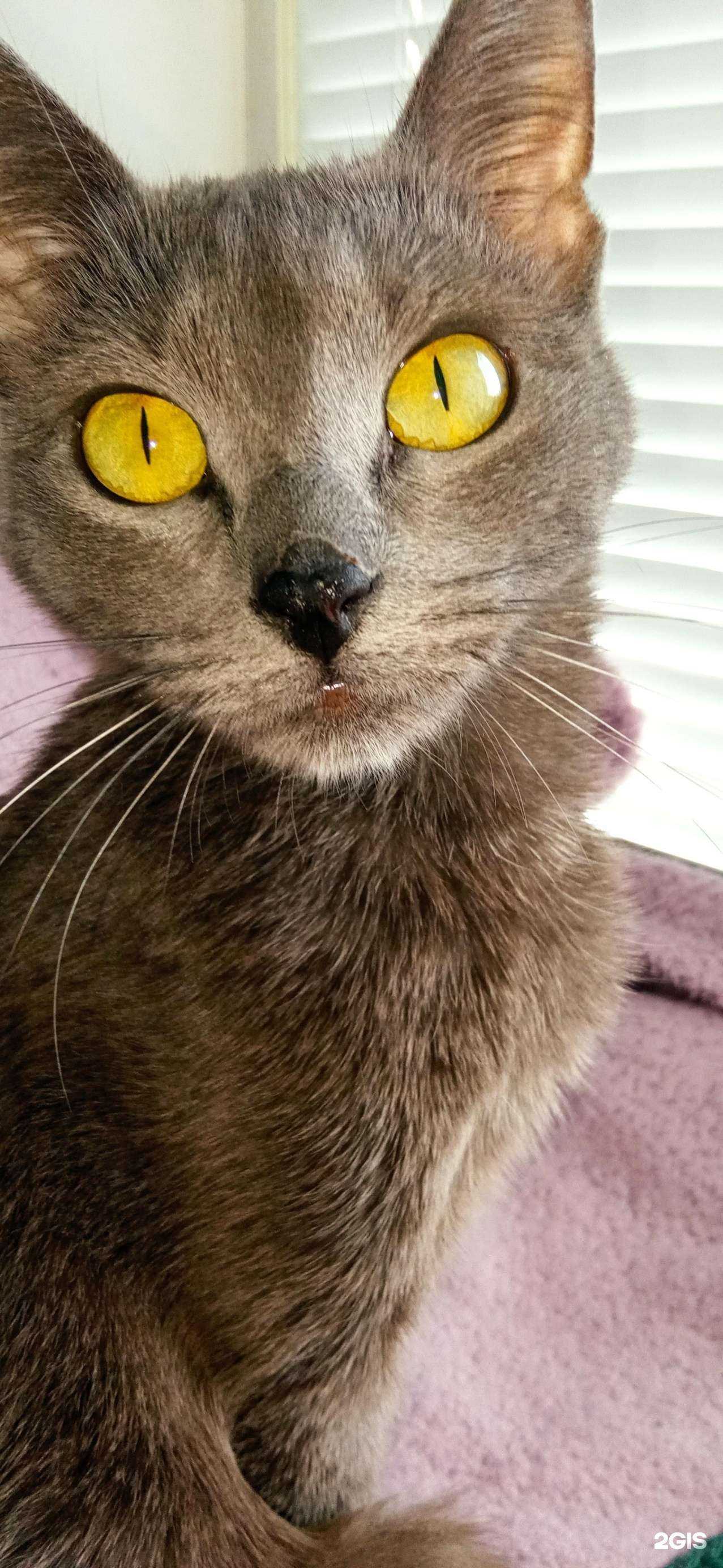 Отзывы на компанию Айболит в г. Нефтекамск c фото