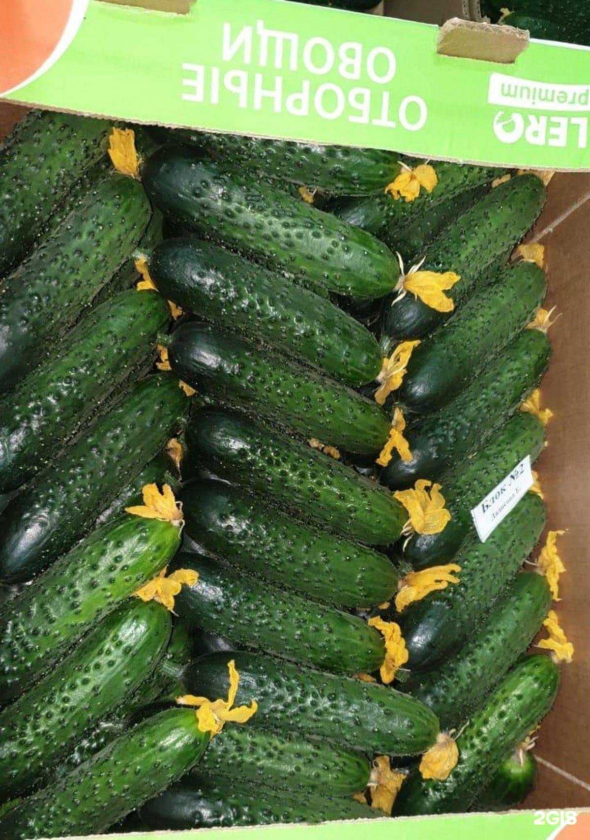 Отзывы на компанию Фуд-Север в Новом Уренгое c фото