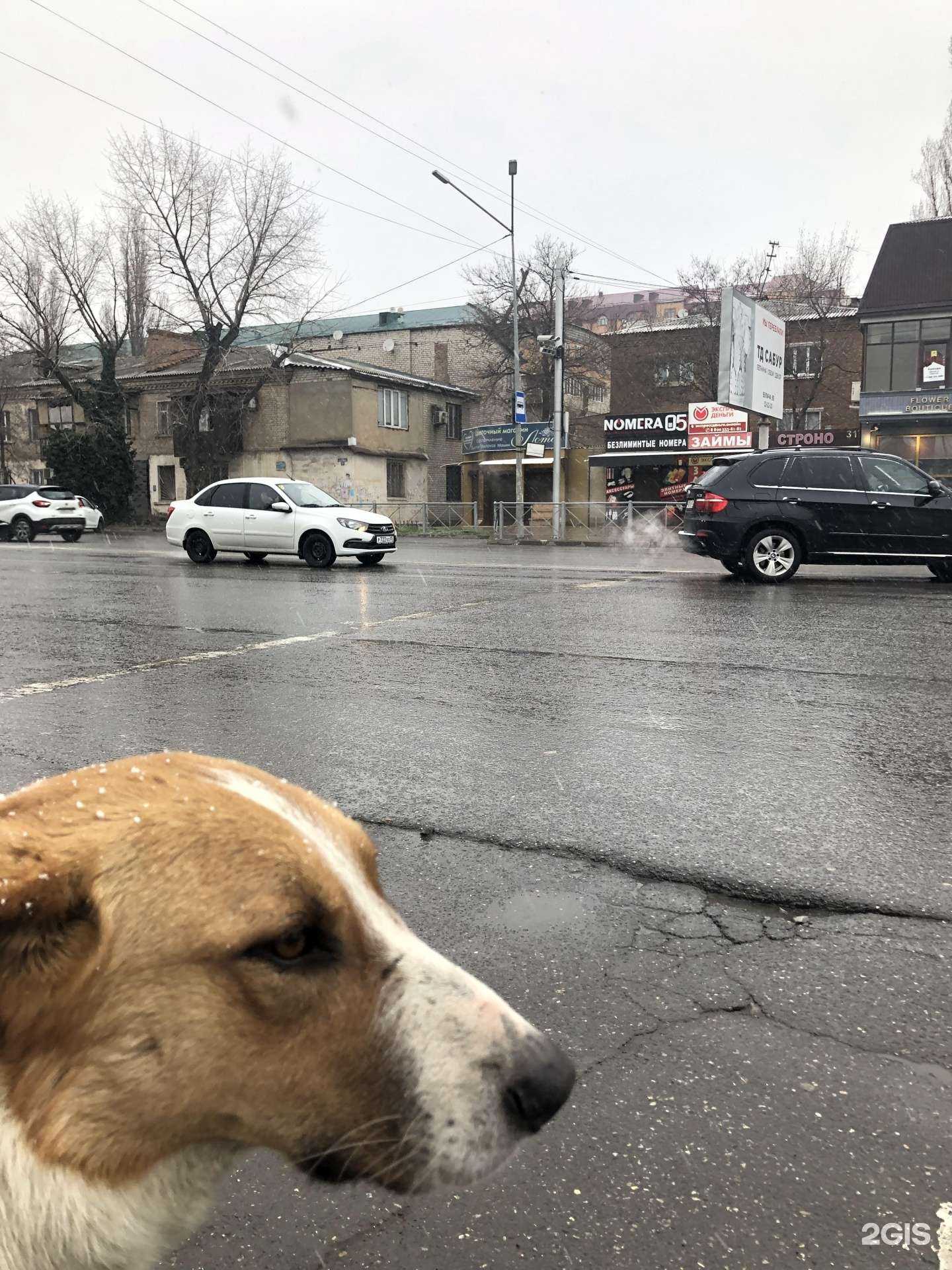 Отзывы на компанию Nomera05 в г. Махачкала c фото